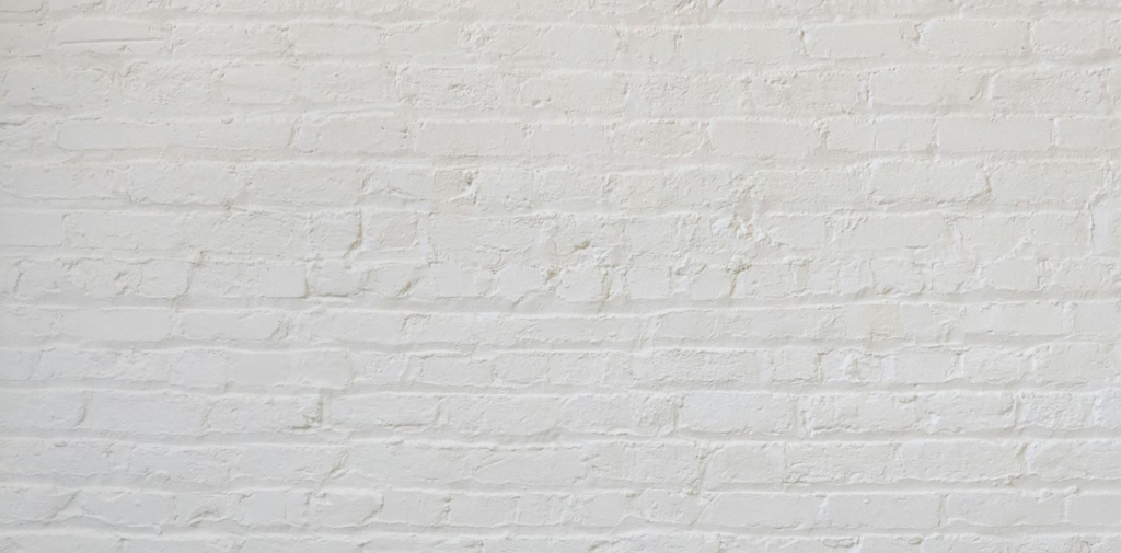 muro ladrillos blancos